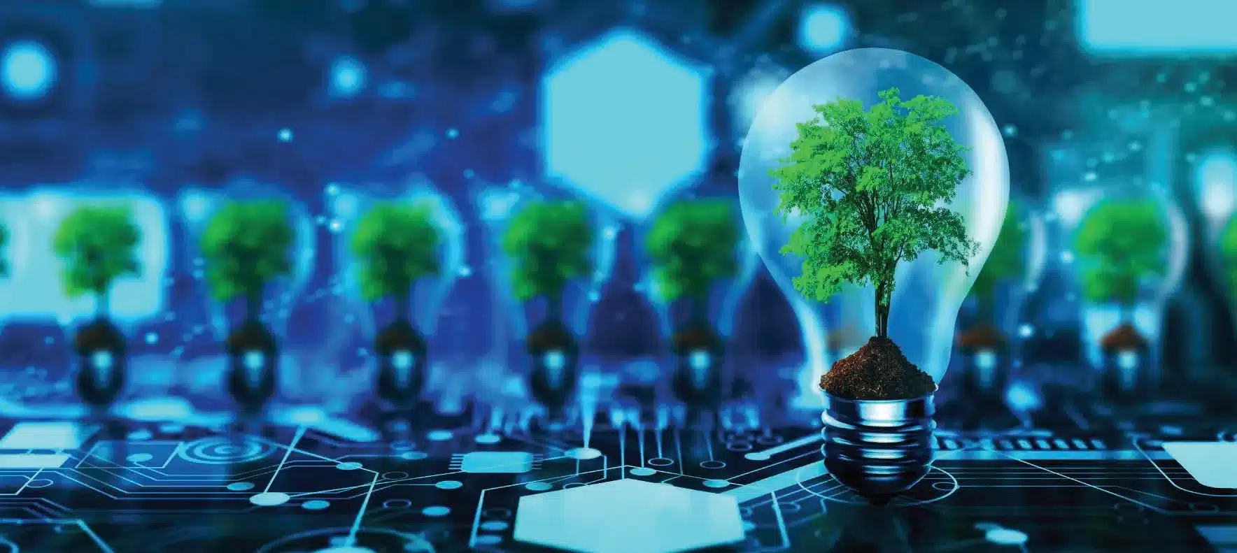 Sustainable Trade Financing Practices